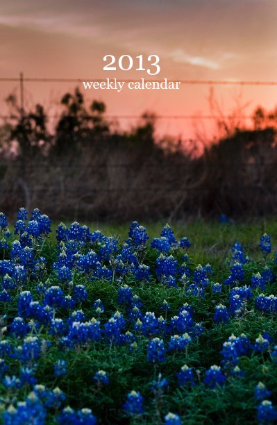 View 2013 weekly calendar by Ashley Landis