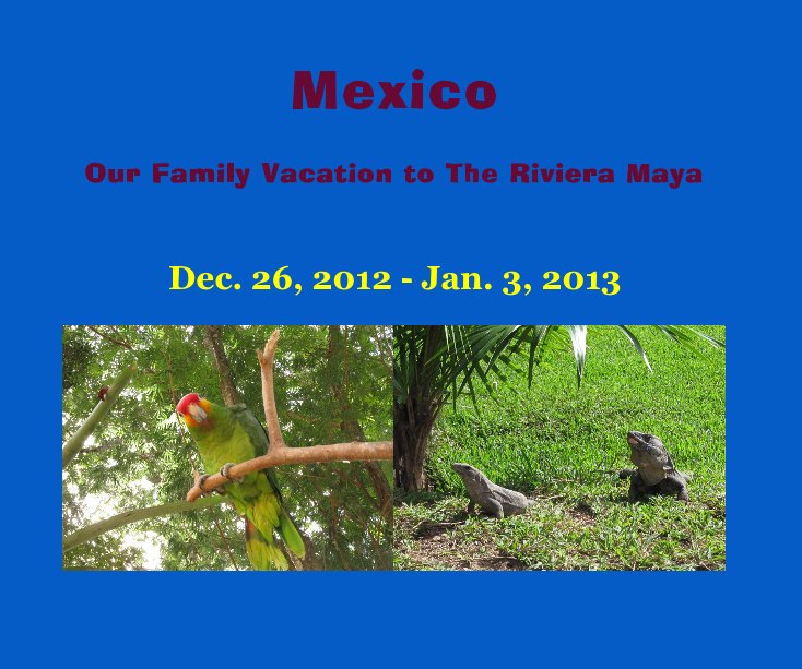 View Mexico by Dec. 26, 2012 - Jan. 3, 2013