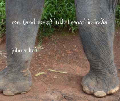 Mr. (and Mrs.) Luth Travel in India book cover