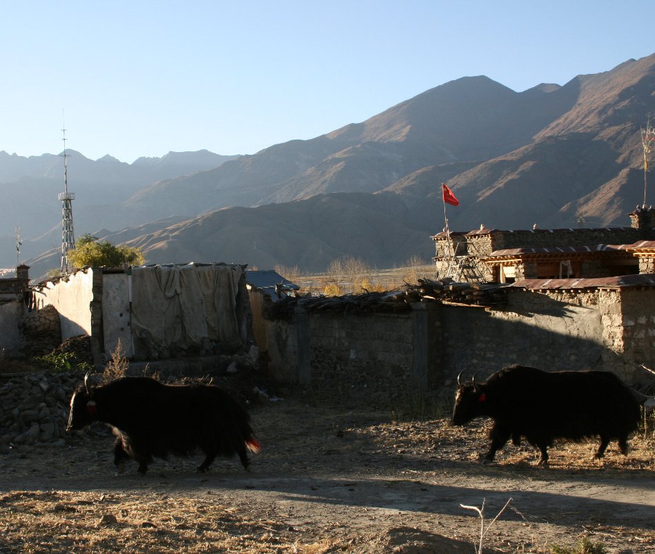 View Tibet 2012 by Djolleken