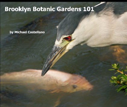 Brooklyn Botanic Gardens 101 book cover