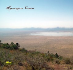 Ngorongoro Crater book cover