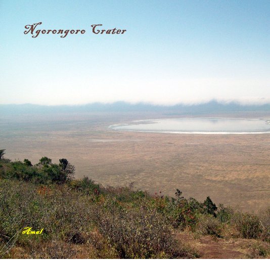 View Ngorongoro Crater by Amal
