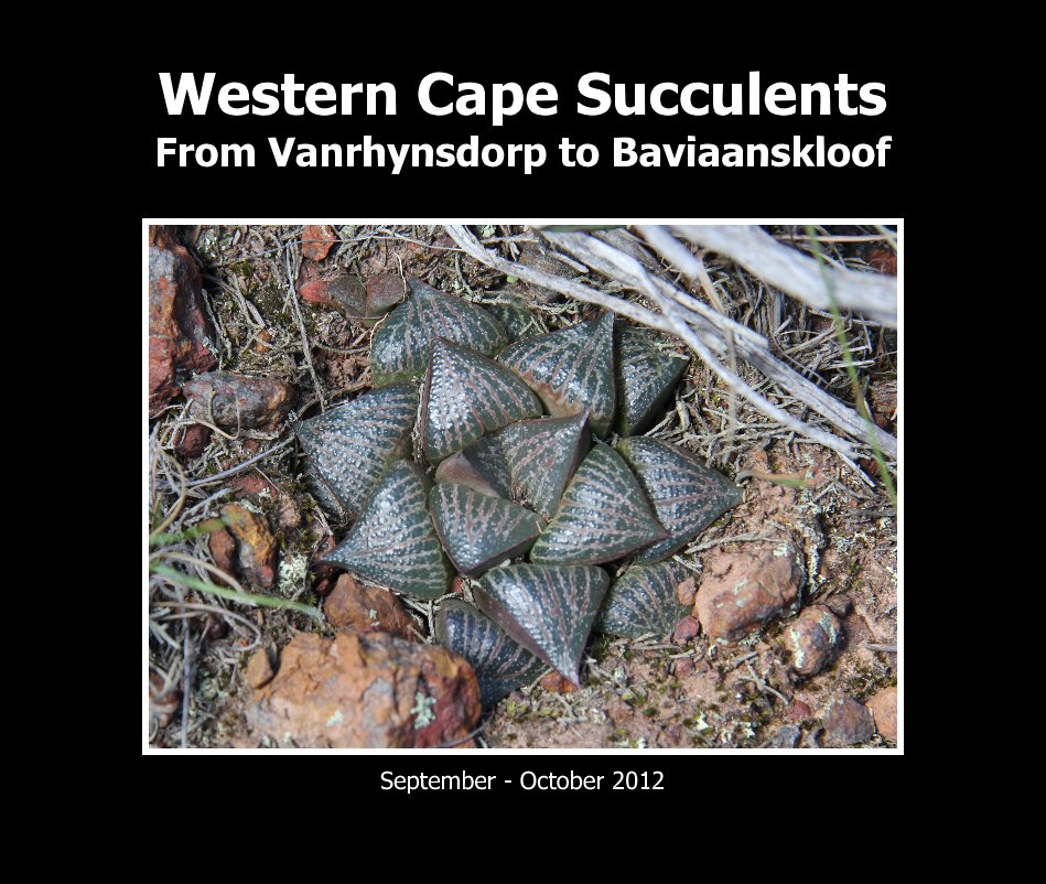 View Western Cape Succulents - from Vanrhynsdorp to Baviaanskloof by Jakub Jilemicky