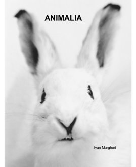 ANIMALIA book cover