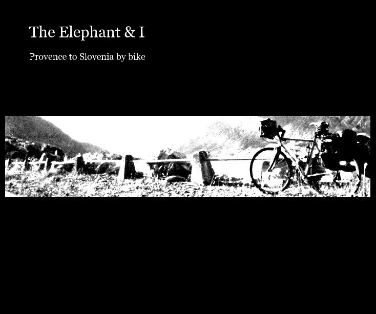 View The Elephant & I by Brendan Murray