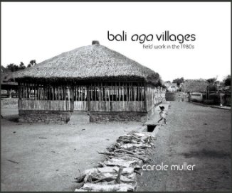 Bali Aga Villages book cover