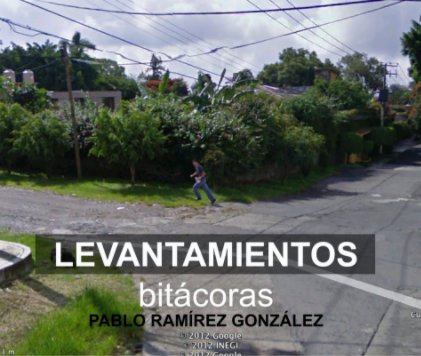 LEVANTAMIENTOS book cover