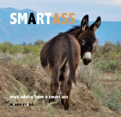 SMARTASS book cover