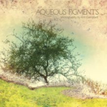 Aqueous Figments book cover