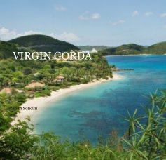 VIRGIN GORDA book cover