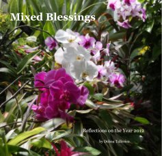 Mixed Blessings book cover