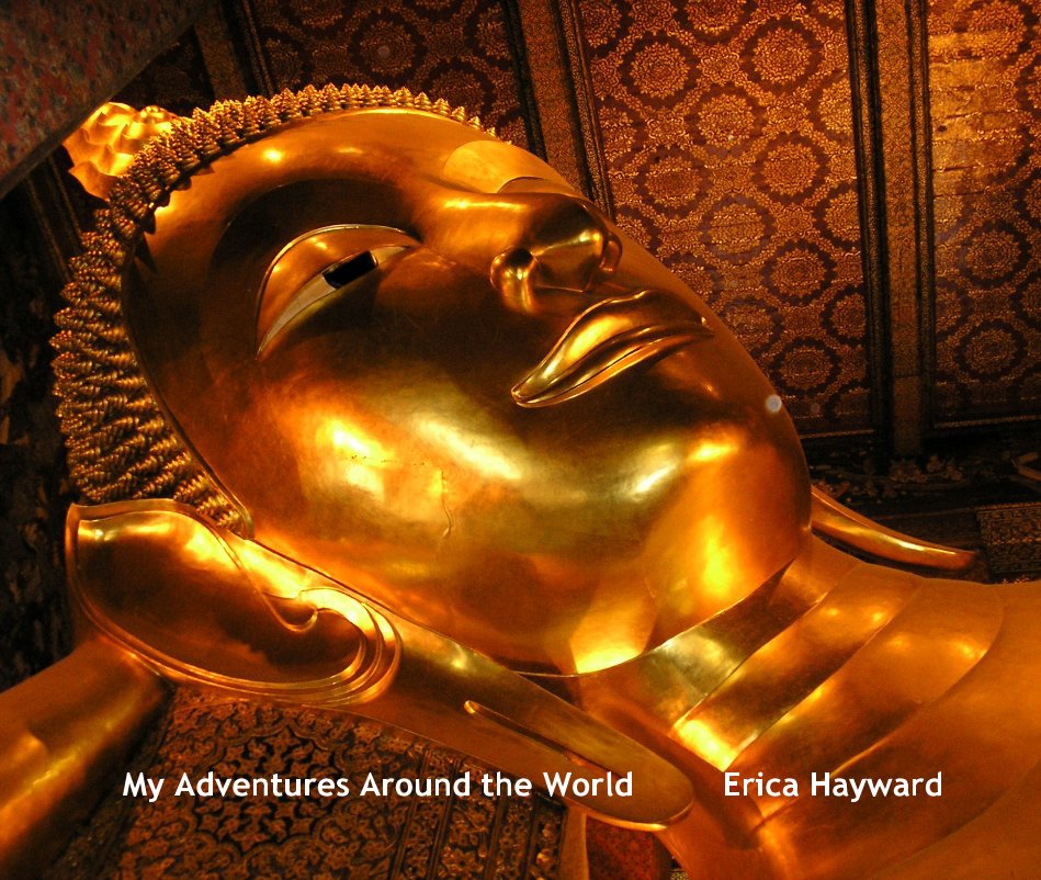 Ver My Adventures Around the World por Erica Hayward