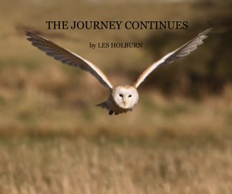 THE JOURNEY CONTINUES book cover