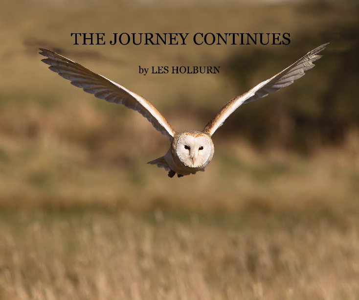 View THE JOURNEY CONTINUES by LES HOLBURN