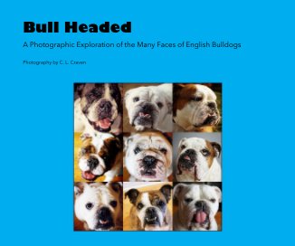 Bull Headed book cover
