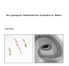 Der gefangene Wirbelwind der Gedanken &. Bilder book cover