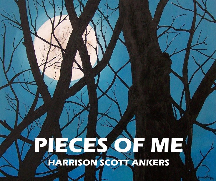 View PIECES OF ME by Harrison Scott Ankers