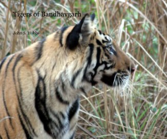 Tigers of Bandhavgarh book cover