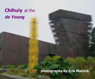 Chihuly at the de Young photography by Erik Malvick book cover