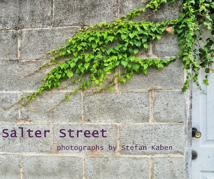View Salter Street by Stefan Kaben