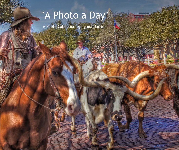 Ver "A Photo a Day" por A Photo Collection by Lynne Harris