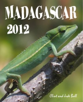 Madagascar 2012 book cover