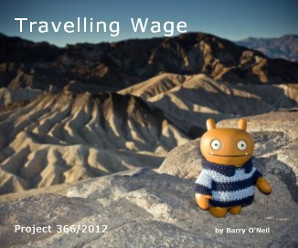 Travelling Wage book cover