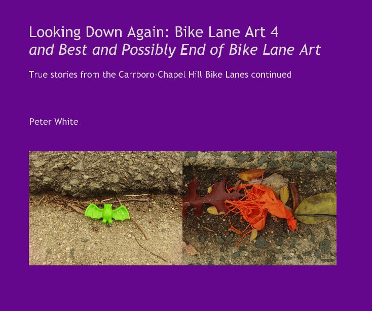 Looking Down Again: Bike Lane Art 4 and Best and Possibly End of Bike Lane Art nach Peter White anzeigen