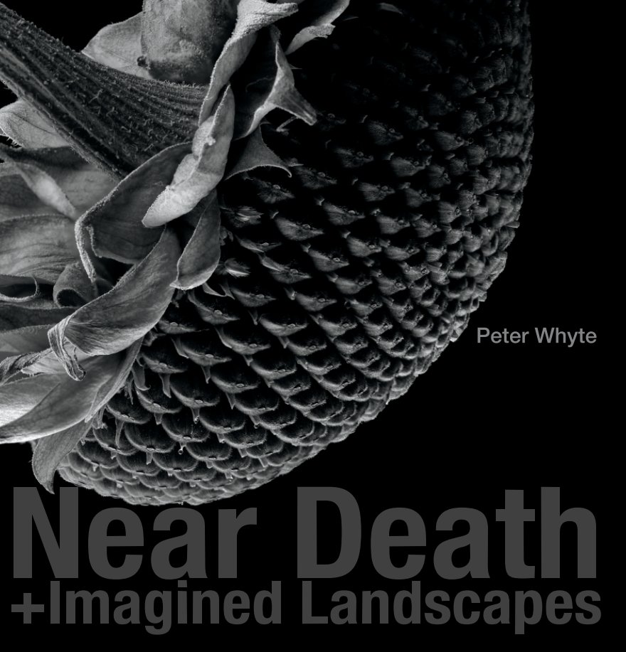 View NearDeath+ImaginedLandscapes by Peter Whyte