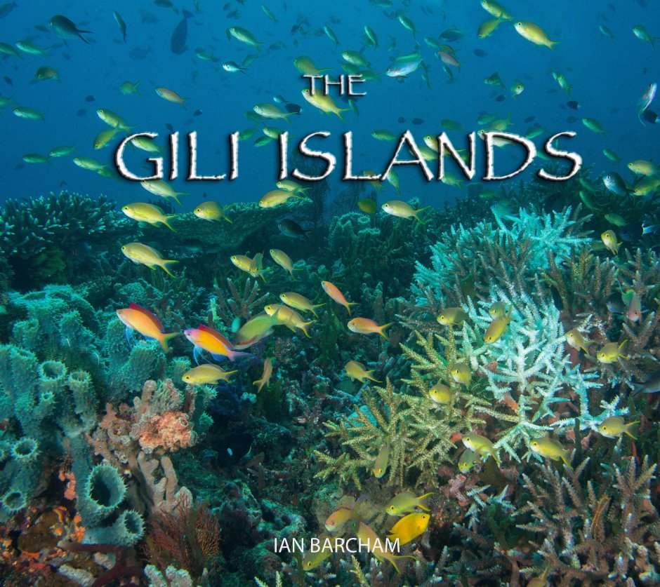 View The Gili Islands by Ian Barcham