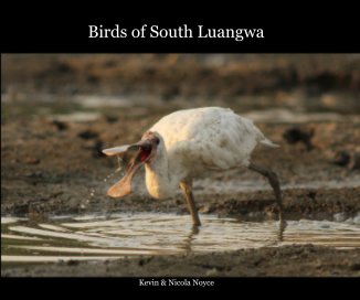 Birds of South Luangwa book cover