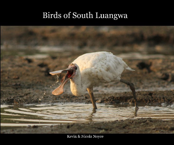 Bekijk Birds of South Luangwa op Kevin & Nicola Noyce