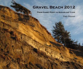 Gravel Beach 2012 book cover
