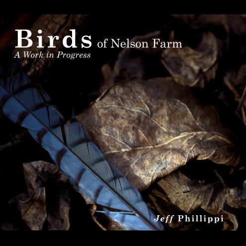 View Birds of Nelson Farm by Jeff Phillippi