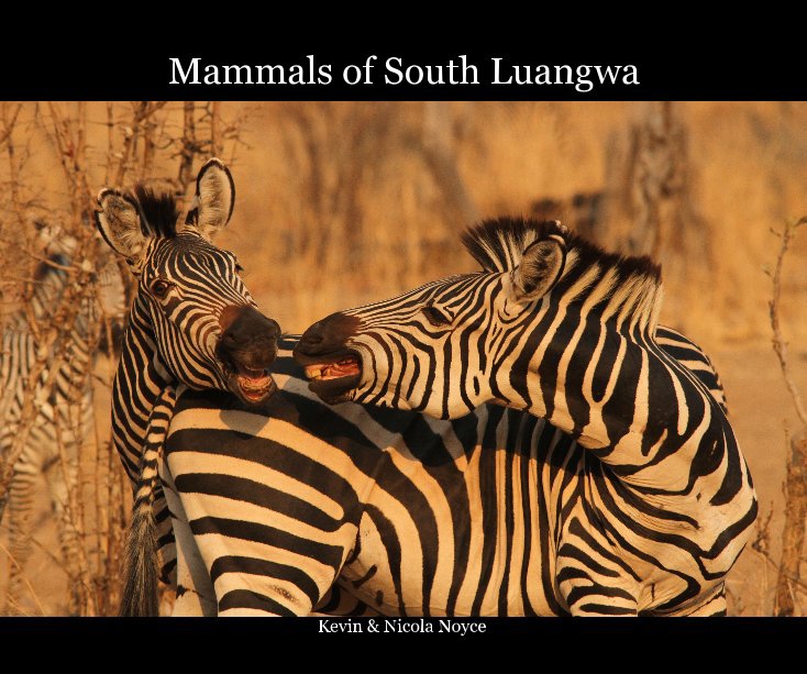 View Mammals of South Luangwa by Kevin & Nicola Noyce