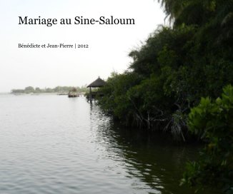 Mariage au Sine-Saloum book cover