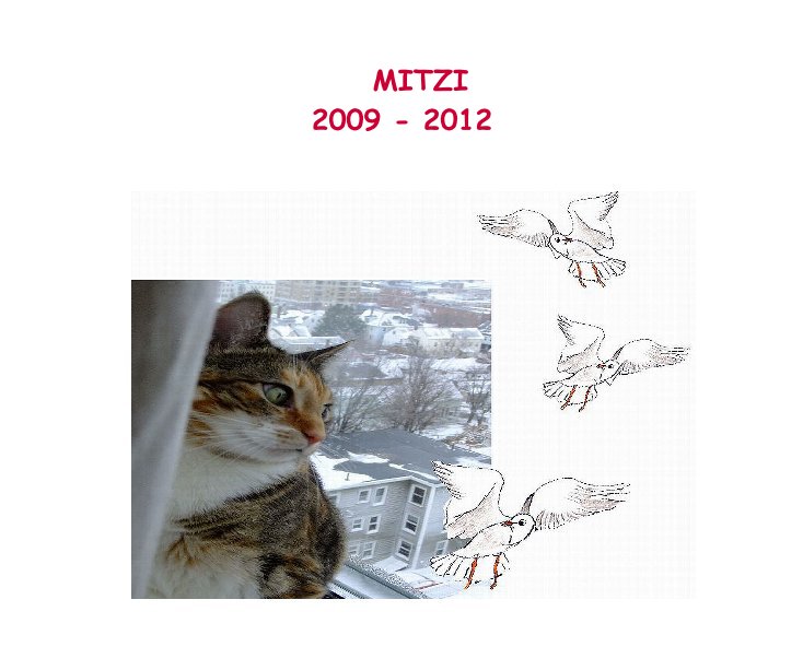 Ver MITZI 2009-2012 por loricherokee
