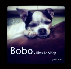 Bobo,Likes To Sleep. book cover