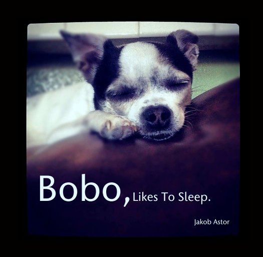 Visualizza Bobo,Likes To Sleep. di Jakob Astor