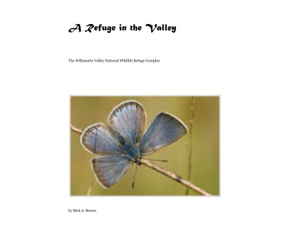 A Refuge in the Valley book cover