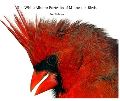 The White Album: Portraits of Minnesota Birds Dan Tallman book cover
