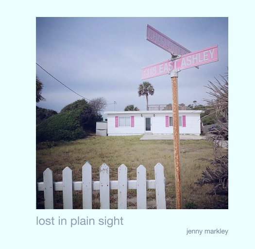 View lost in plain sight by jenny markley