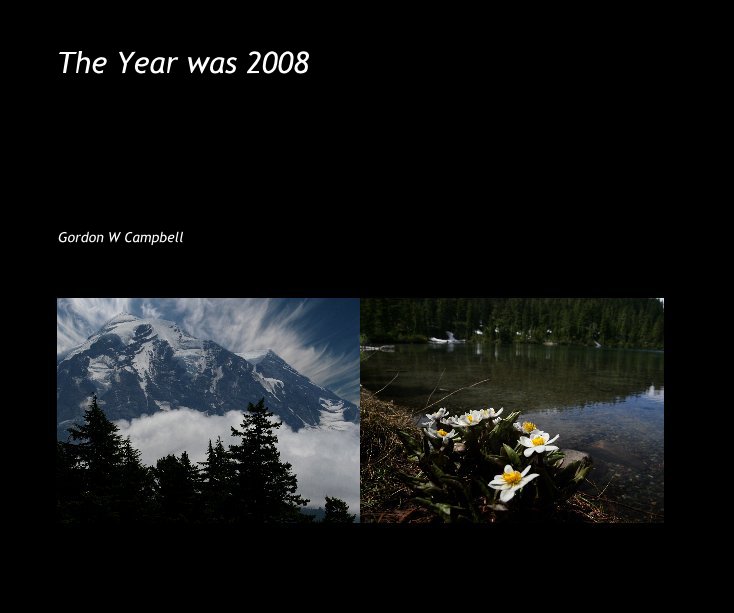View The Year was 2008 by Gordon W Campbell