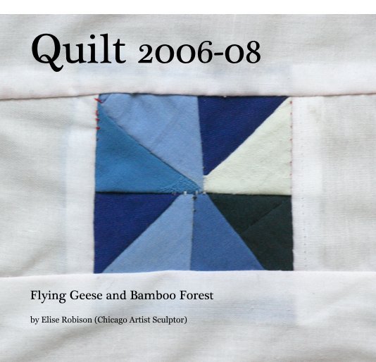 Bekijk Quilt 2006-08 op Elise Robison (Chicago Artist Sculptor)