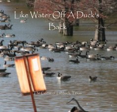 Like Water Off A Duck's Back book cover