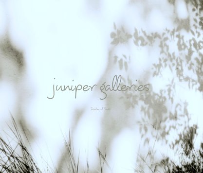 juniper galleries


Debbie  M. Smith book cover