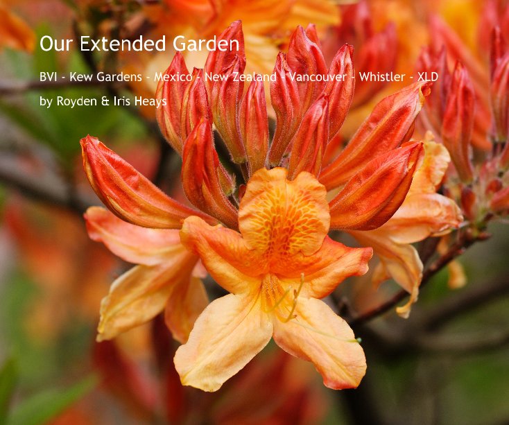 Ver Our Extended Garden por Royden and Iris Heays