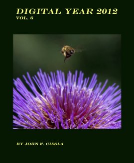 Digital Year 2012 Vol. 6 book cover