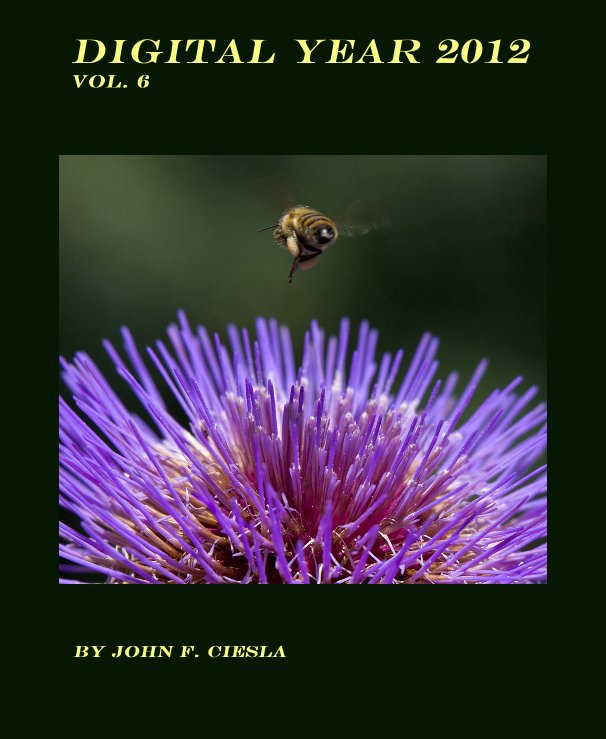 View Digital Year 2012 Vol. 6 by John F. Ciesla